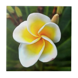 Azulejo De Cerâmica Solteiro Frangipani Blossom Realismo Arte