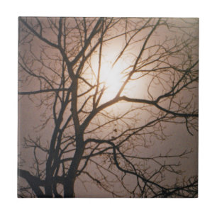 Azulejo De Cerâmica Sonho de Lua