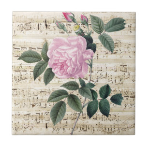 Azulejo De Cerâmica Sonho Rosa Rosa Rosa Rosa Rosa Rosa Rosa