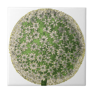 Azulejo De Cerâmica Sonhos Vintage - Dandelion