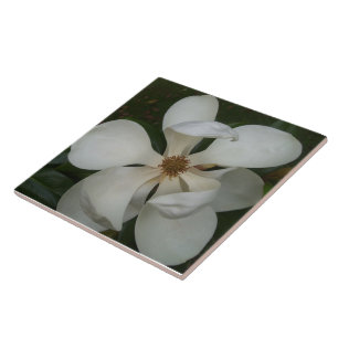 Azulejo de cerâmica - Southern Magnolia Blossom I