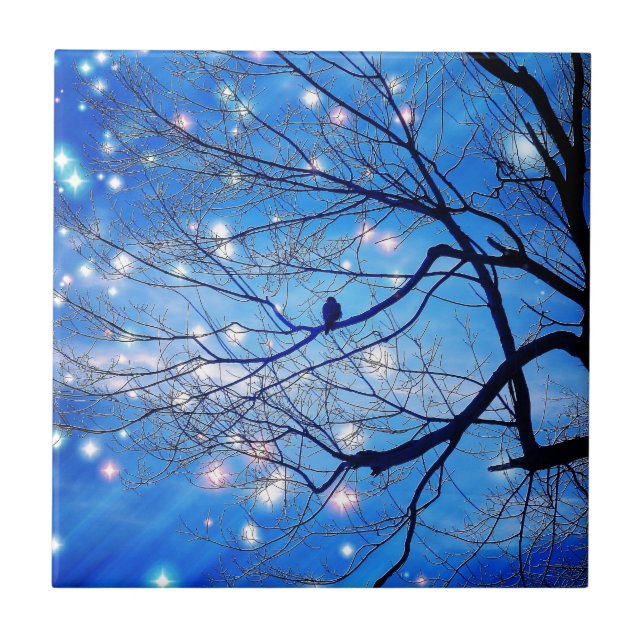 Azulejo De Cerâmica Sozinho Com As Estrelas (Frente)