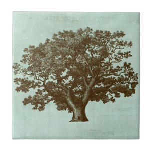 Azulejo De Cerâmica Spa Tree IV