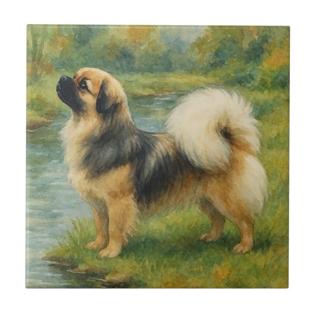 Azulejo De Cerâmica Spaniel Tibetano (Frente)