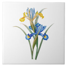 Azulejo De Cerâmica Spanish iris by Pierre-Joseph Redouté