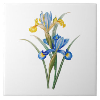 Azulejo De Cerâmica Spanish iris by Pierre-Joseph Redouté