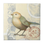 Azulejo De Cerâmica Sparrow Amarelo e Verde no Fundo da Vintage<br><div class="desc">Esta imagem inspirada em esboços é perfeita para a sua coleção de pássaros. É simples e bonito adicionar qualquer produto e agradar a qualquer amante de arte tradicional. Escolha esta impressão artística hoje mesmo.</div>
