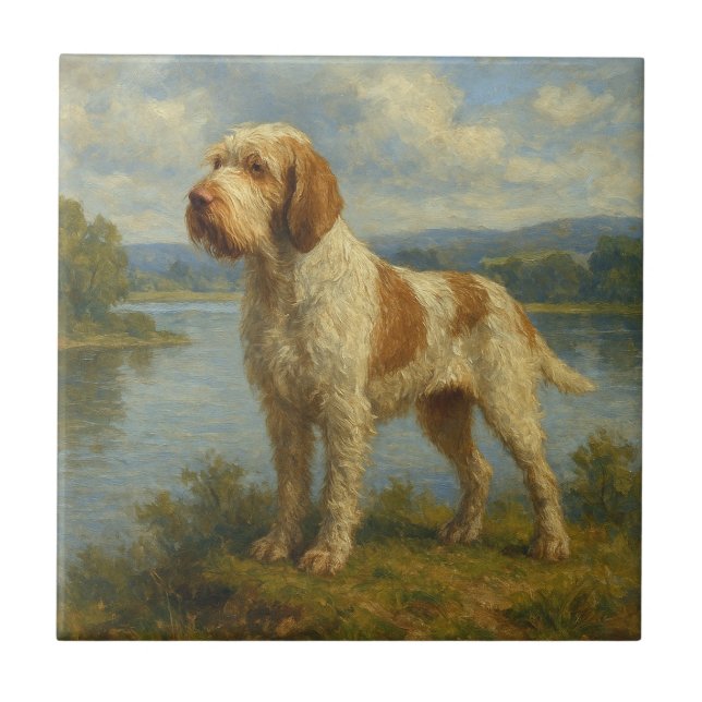 Azulejo De Cerâmica Spinone Italiano (Frente)