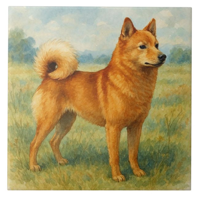 Azulejo De Cerâmica Spitz Finlandês (Frente)