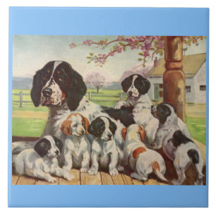 Azulejo De Cerâmica Springer Spaniel e filhotes