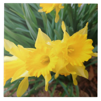 Azulejo De Cerâmica Springtime Flowers