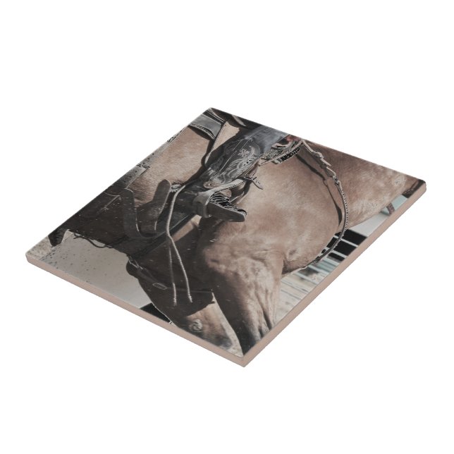 Azulejo De Cerâmica Spurred (Lateral)