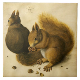 Azulejo De Cerâmica SQUIRREL COM LOUCOS de Albrecht Durer