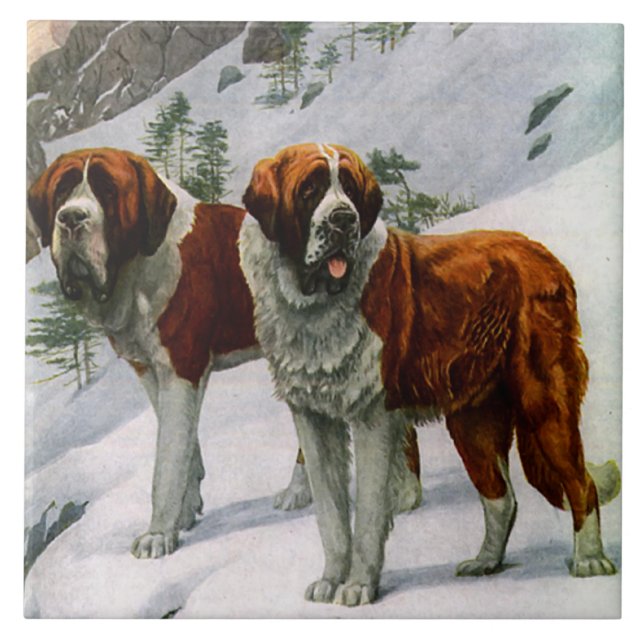 Azulejo De Cerâmica St. Bernards do vintage (Frente)