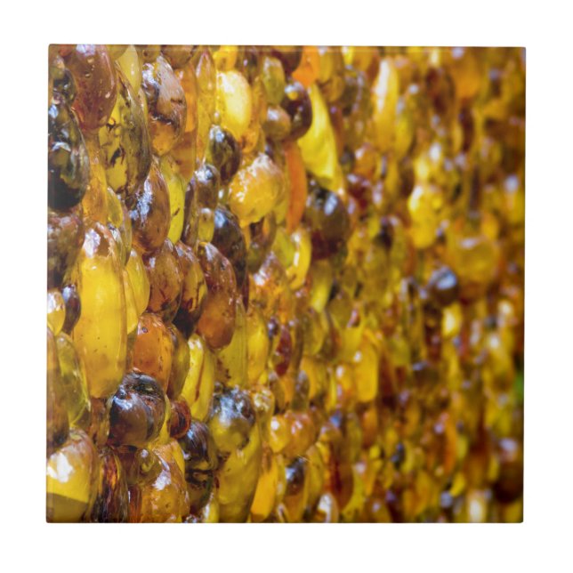 Azulejo De Cerâmica St Thomas 2 (Frente)