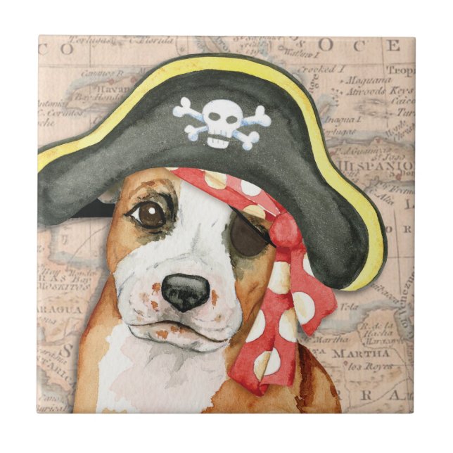 Azulejo De Cerâmica Stafford Pirate (Frente)