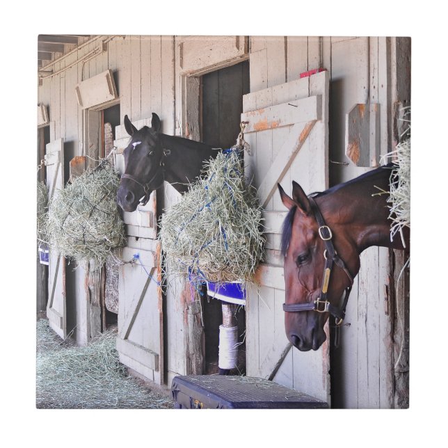 Azulejo De Cerâmica Stanwyck pelo fabricante do império (Frente)