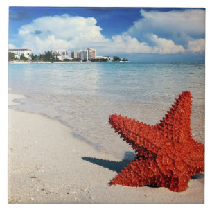 Azulejo De Cerâmica Starfish, Nassau, Bahamas