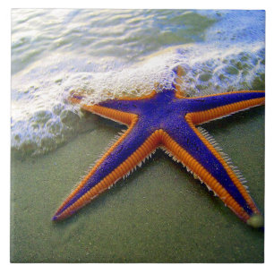 Azulejo De Cerâmica Starfish Tropical Sandy Beach Sea Wave