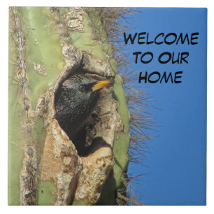 Azulejo De Cerâmica Starling no pássaro sudoeste de Saguaro Cactus