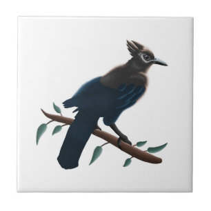 Azulejo De Cerâmica Steller's Jay 