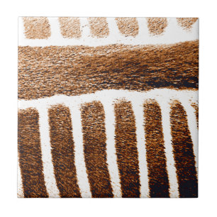 Azulejo De Cerâmica Stripes castanhas_