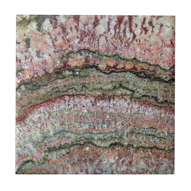 Azulejo De Cerâmica Stromatolites fossilizado (Frente)