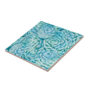 Azulejo De Cerâmica Succulents azuis