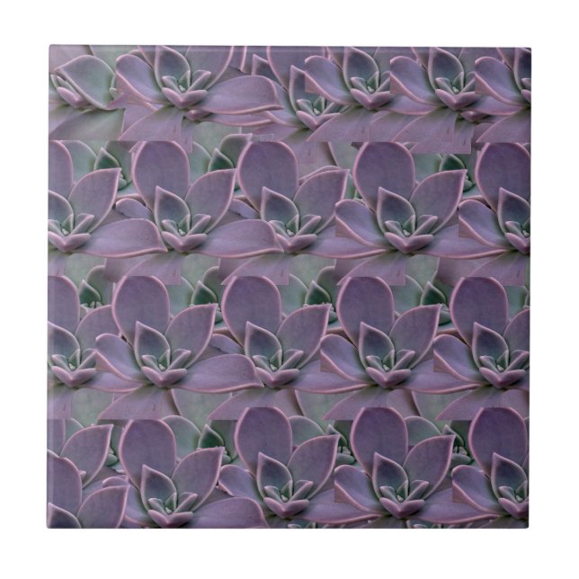 Azulejo De Cerâmica Suculenta Roxa (Frente)