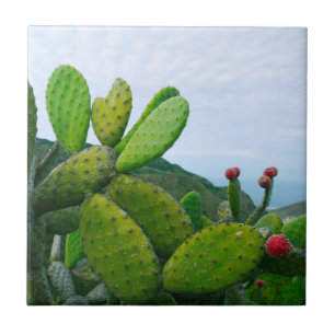 Azulejo De Cerâmica Sudoeste Cacto Figo-da-índia Suculento Deserto