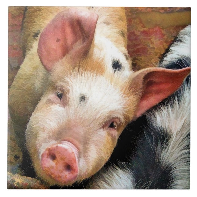 AZULEJO DE CERÂMICA  SUÍNOS (Frente)