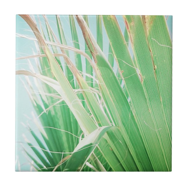 Azulejo De Cerâmica Summer Vibes Palm Tree deixa verde-claro (Frente)