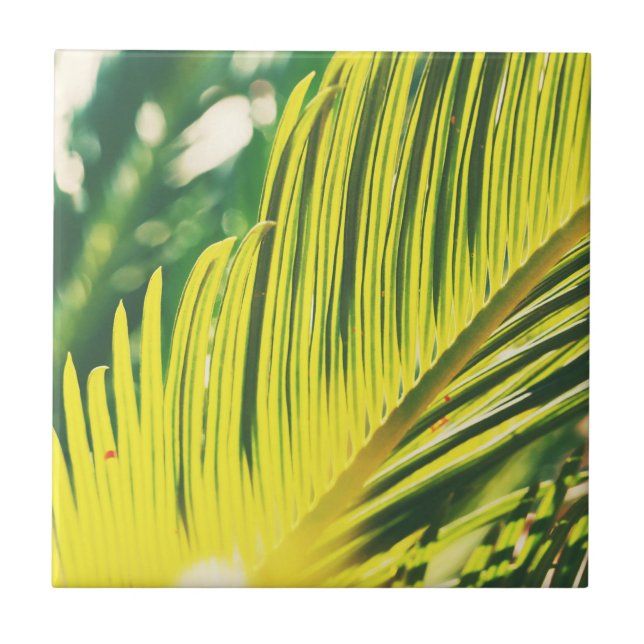 Azulejo De Cerâmica Summer Vibes Palm Tree deixa verde-claro (Frente)