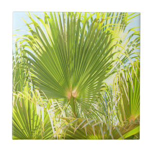Azulejo De Cerâmica Summer Vibes Palm Tree deixa verde-claro