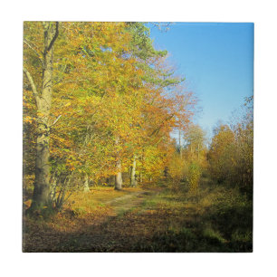 Azulejo De Cerâmica Sunny Autumn Walk - Cerâmica Personalizada