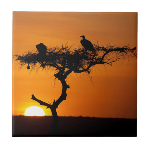 Azulejo De Cerâmica Sunrise no Masai Mara, Quênia