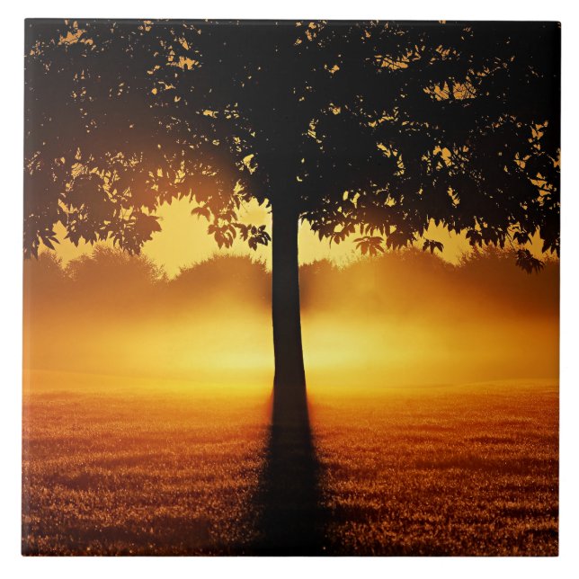 Azulejo De Cerâmica Sunrise, silhueta de árvores, (Frente)