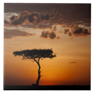 Azulejo De Cerâmica Sunset em Masai Mara