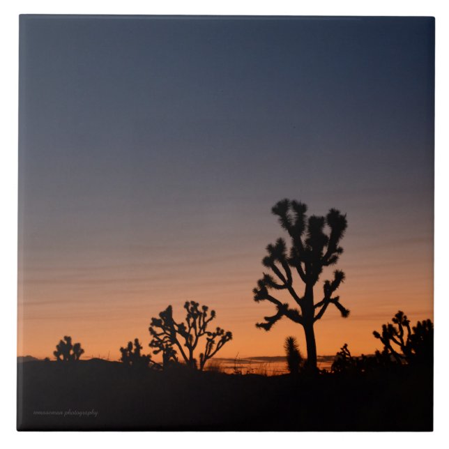 Azulejo De Cerâmica Sunset Joshua Trees (Frente)