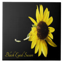 Susan bonito de olhos negros a preto