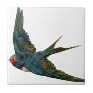 Azulejo De Cerâmica Swallow