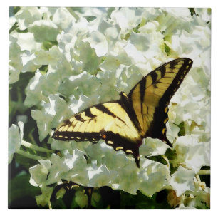 Azulejo De Cerâmica Swallowtail no Hydrangea branco