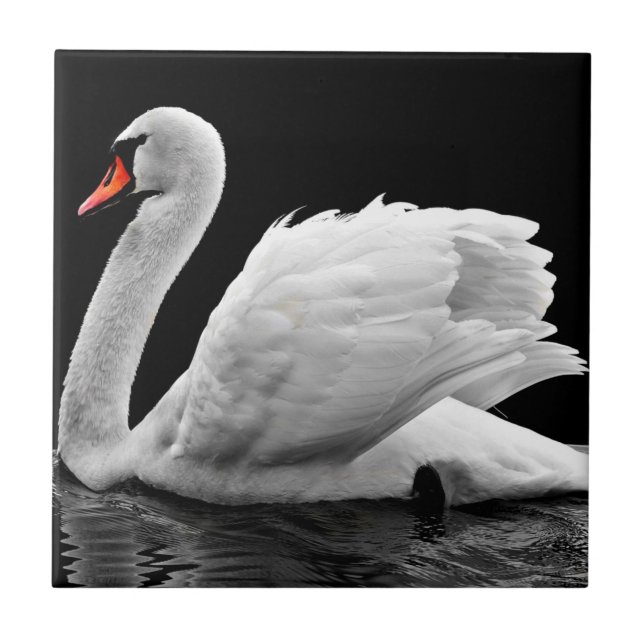 Azulejo De Cerâmica Swan (Frente)