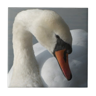 Azulejo De Cerâmica Swan