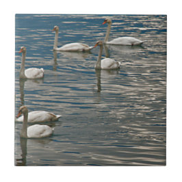Azulejo De Cerâmica Swan Song