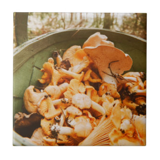 Azulejo De Cerâmica Swedish Archipelago Mushroom Foraging Photo