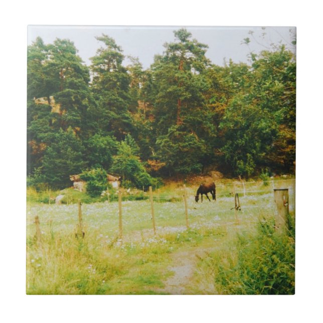 Azulejo De Cerâmica Swedish Countryside (Frente)