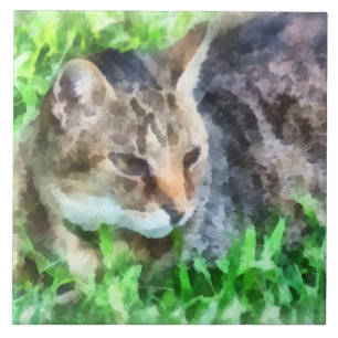 Azulejo De Cerâmica Tabby Cat Closeup