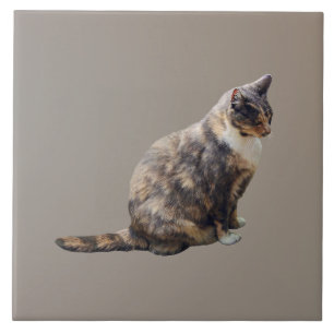 Azulejo De Cerâmica Tabby Cat em tons de marrom