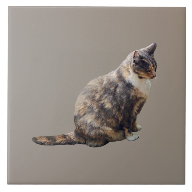 Azulejo De Cerâmica Tabby Cat em tons de marrom (Frente)